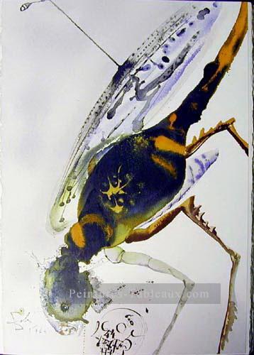 Locusta et bruchus Salvador Dali Peintures à l'huile